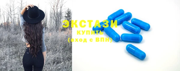 сатива Кулебаки