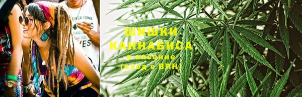 хмурый Сосновый Бор