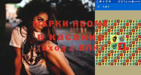 сатива Кулебаки