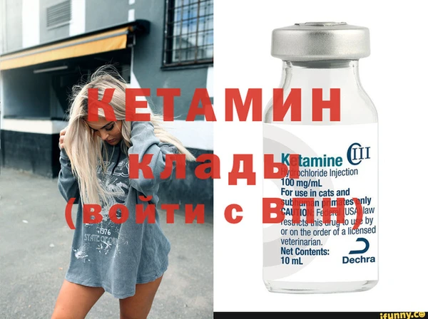 хмурый Сосновый Бор