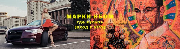 хмурый Сосновый Бор