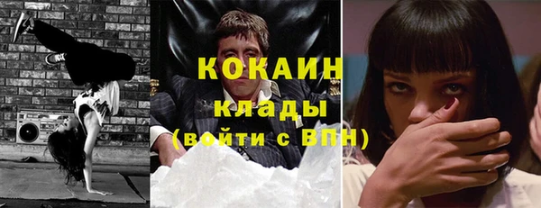 хмурый Сосновый Бор