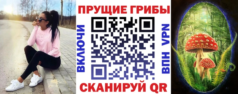 МЕГА ТОР  Мариинск  Псилоцибиновые грибы мухоморы  сколько стоит 